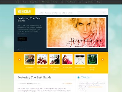musician wordpress online music store theme music store theme